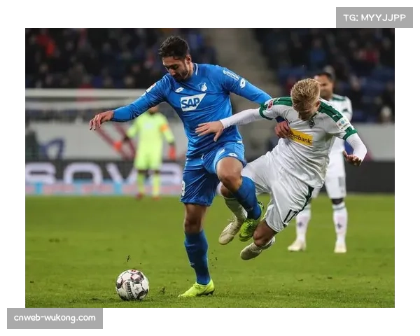 霍芬海姆对阵科隆比赛因现场球迷投掷杂物中断15分钟